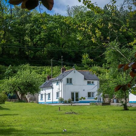 Tucking Mill - 3 Bedroom Holiday Home - Stepaside Stepaside  Εξωτερικό φωτογραφία